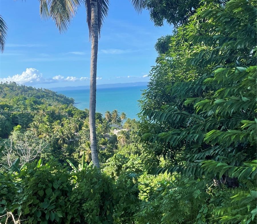 Land for sale near the beach in Hato Mayor, Dominican Republic – photo 3