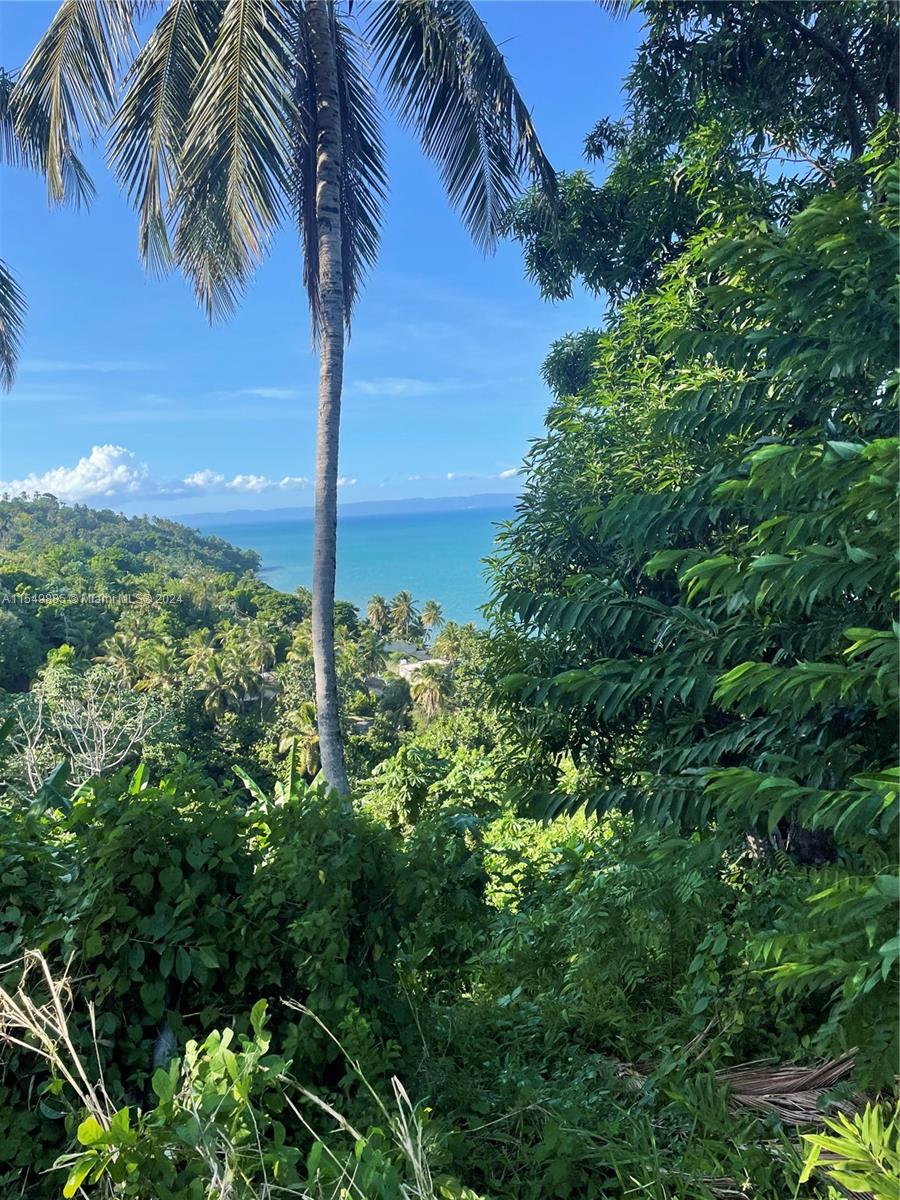 Land for sale near the beach in Hato Mayor, Dominican Republic – photo 3