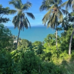 Land for sale near the beach in Hato Mayor, Dominican Republic – photo 1