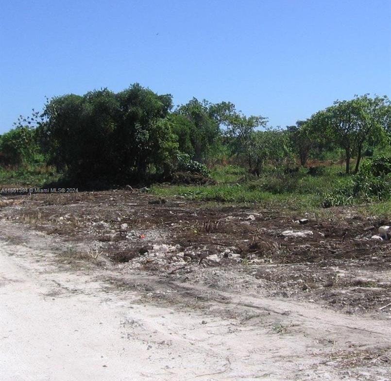 Residential land for sale in the Dominican Republic – photo 6