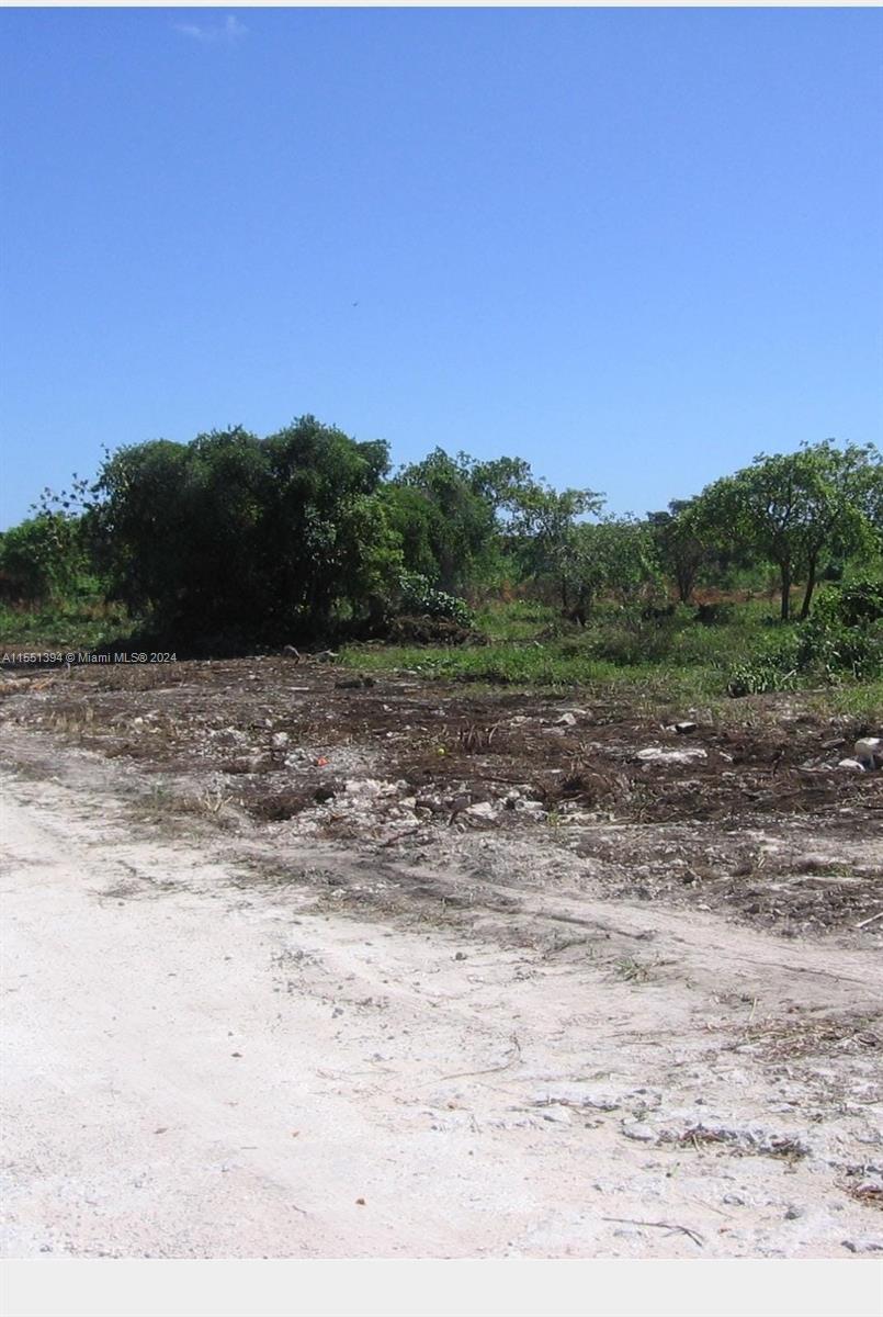 Residential land for sale in the Dominican Republic – photo 6