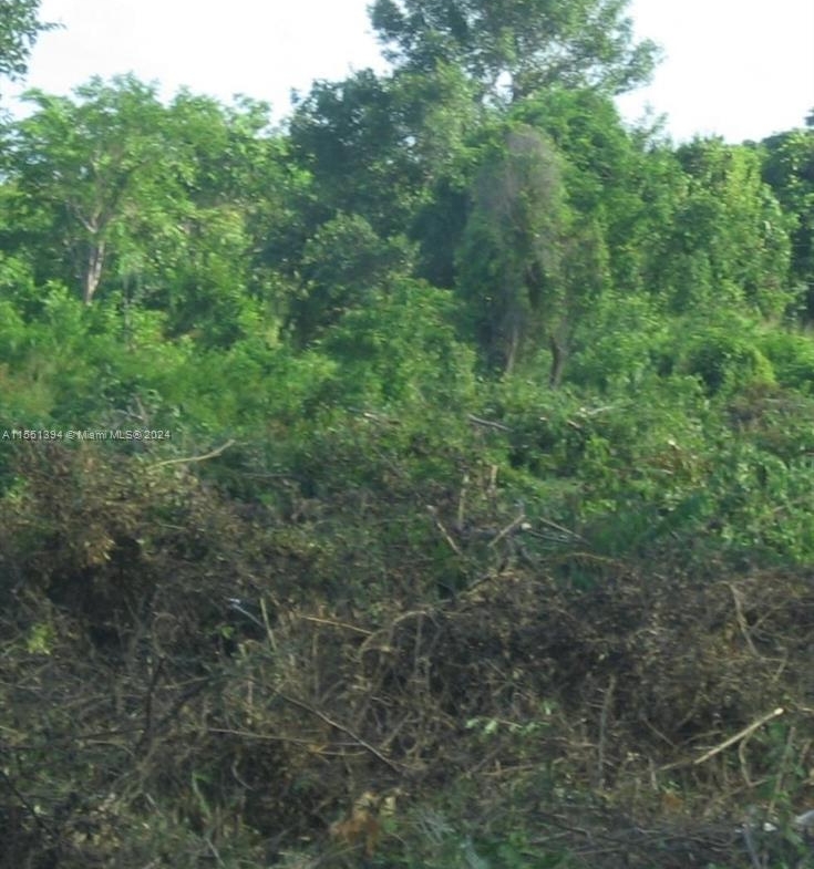 Residential land for sale in the Dominican Republic – photo 5