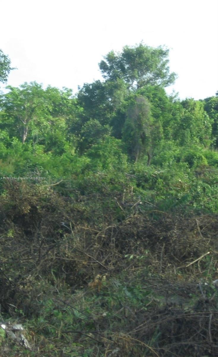 Residential land for sale in the Dominican Republic – photo 5