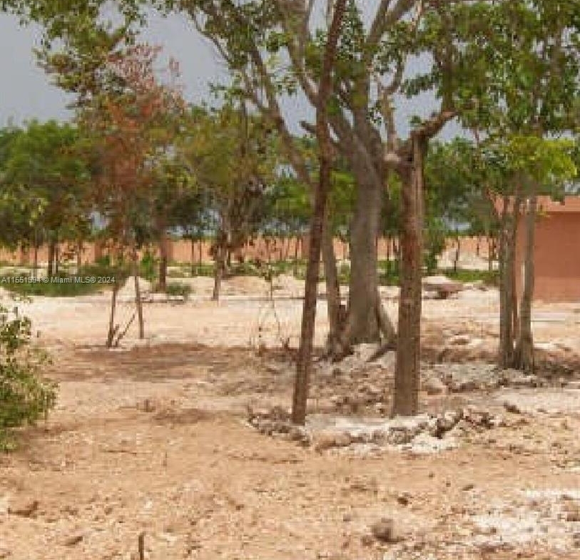 Residential land for sale in the Dominican Republic – photo 2