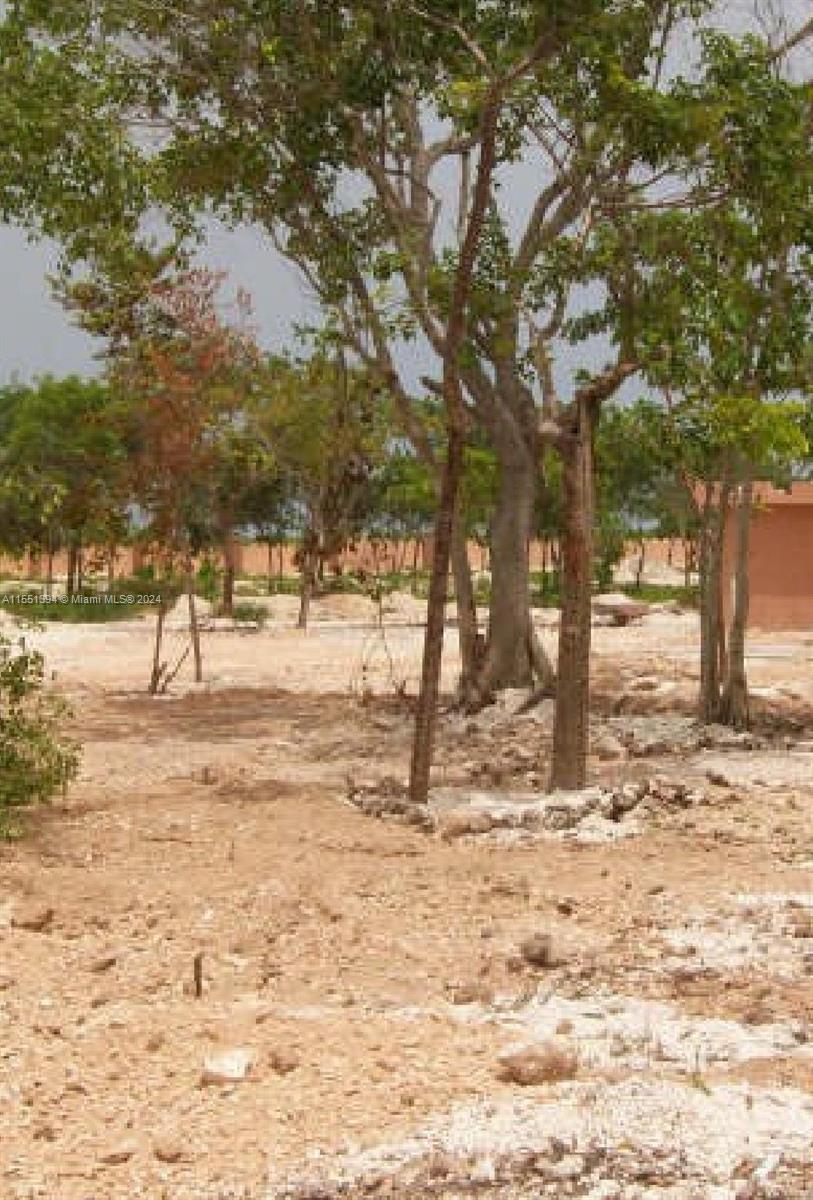 Residential land for sale in the Dominican Republic – photo 2
