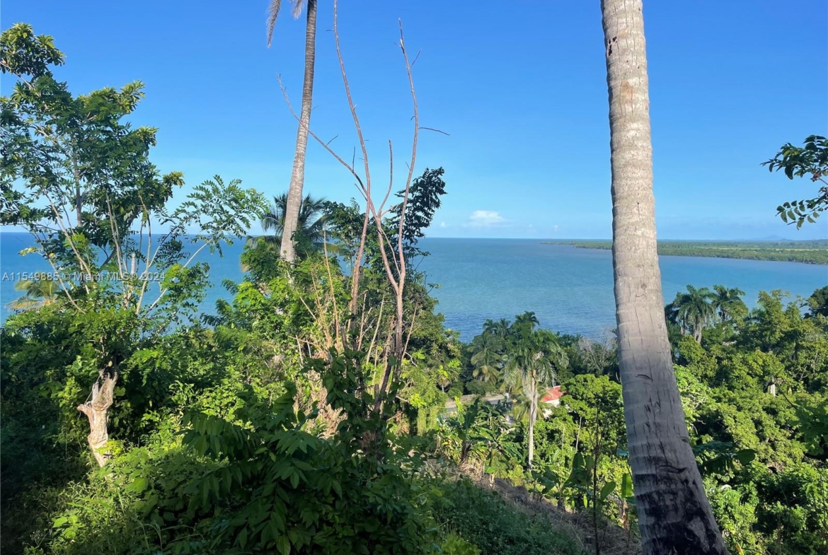 Land for sale near the beach in Hato Mayor, Dominican Republic – photo 2