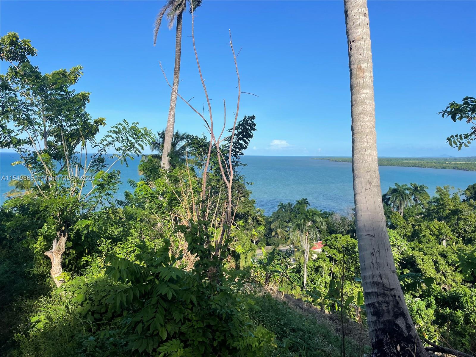 Land for sale near the beach in Hato Mayor, Dominican Republic – photo 2
