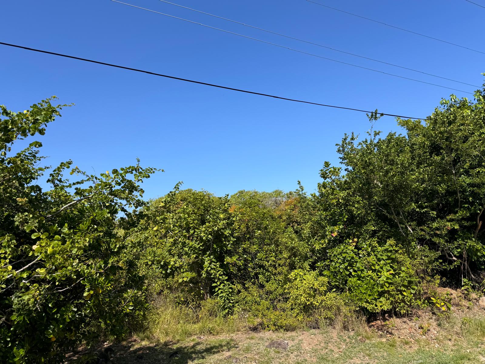 Modest Canelles Lot Curb View