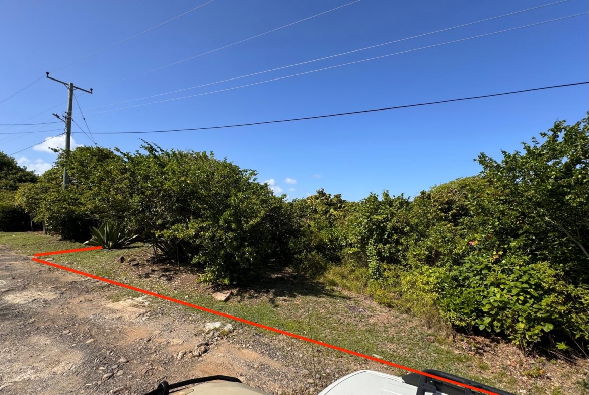 Small Canelles Lot - Road View 2